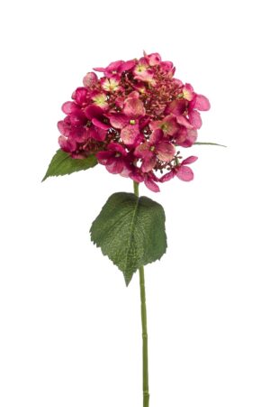 Hydrangea Spray Fuchsia 50cm-0