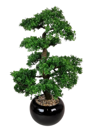 70cm Bonsai In Black Pot-0