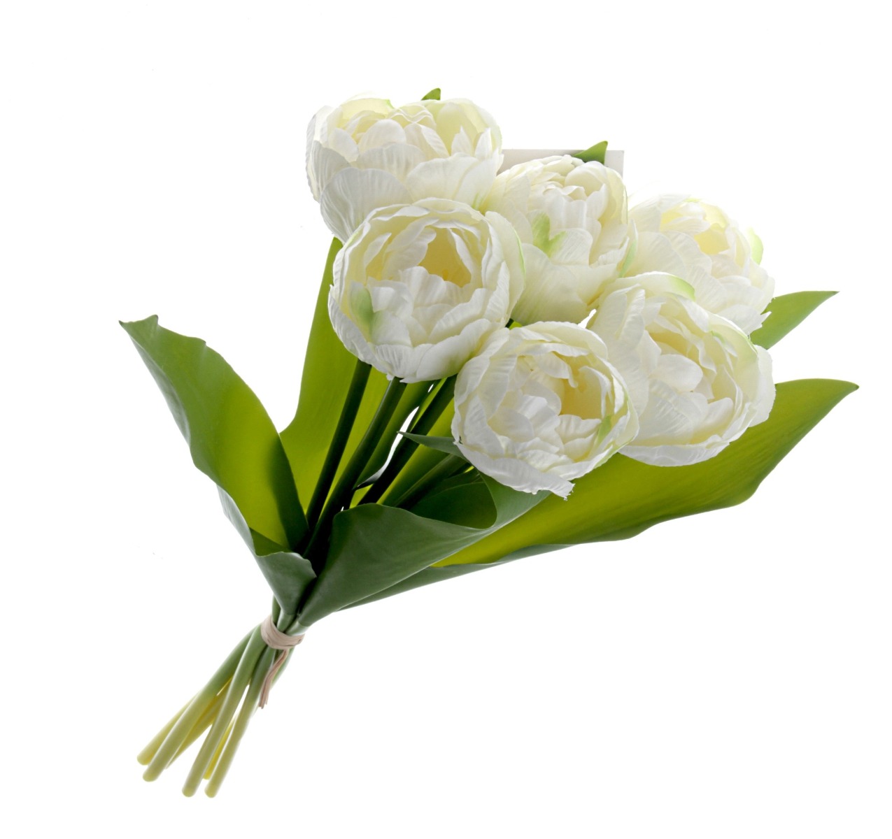Bi-Coloured Double Tulip Bundle - White (6 heads, 40cm long)-0