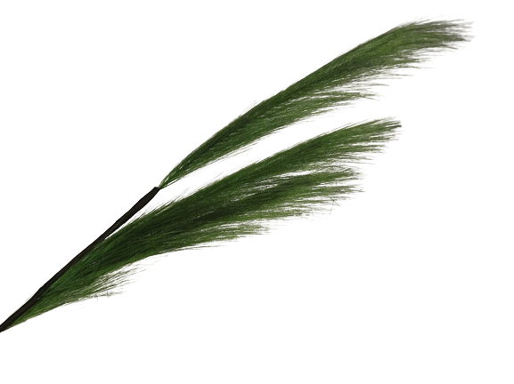 82cm Pampas Grass (Artificial) Spray Green-0