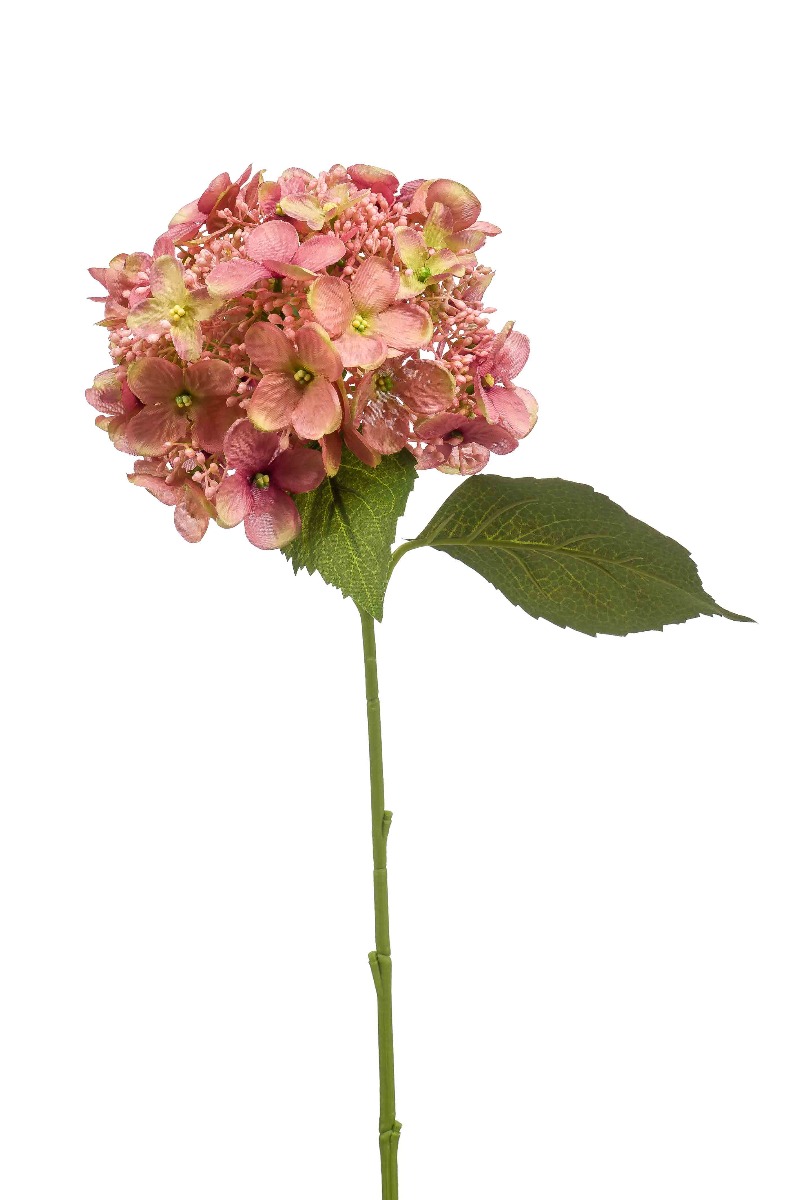 Hydrangea Spray Old Pink 50cm-0