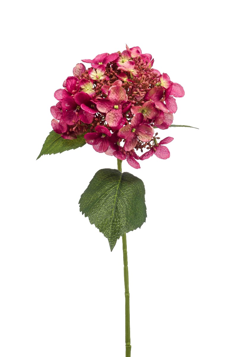 Hydrangea Spray Fuchsia 50cm-0