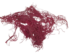 Guzano Fuchsia x 200g-0