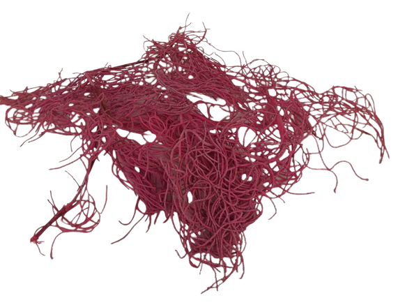 Guzano Fuchsia x 200g-0