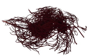 Guzano Burgundy x 200g-0