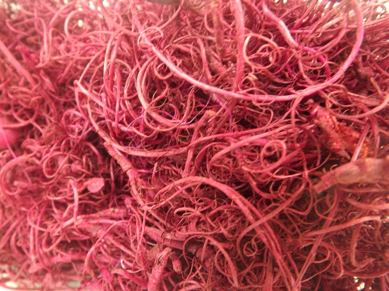 Curly Moss x 350g Raspberry-24740