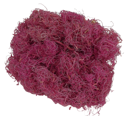 Curly Moss x 350g Orchid-0