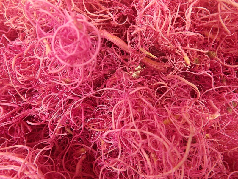 Curly Moss x 350g Orchid-24742