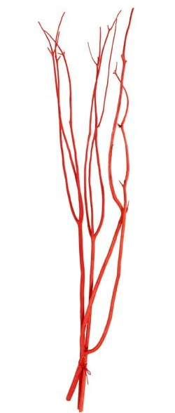 Mitsumata Bundle Red App 100cm-0