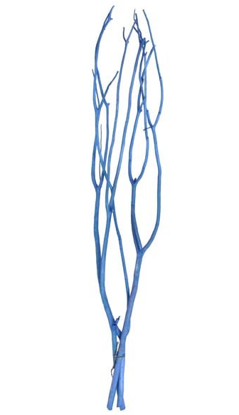 Mitsumata Bundle Blue App 100cm