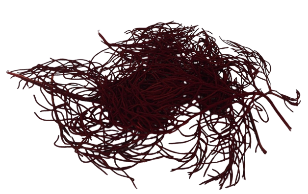 Guzano Burgundy x 200g-0
