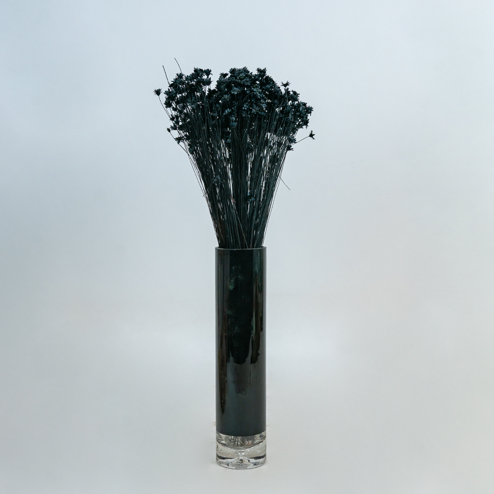 Glixia Bunch App 50cm Black-24839