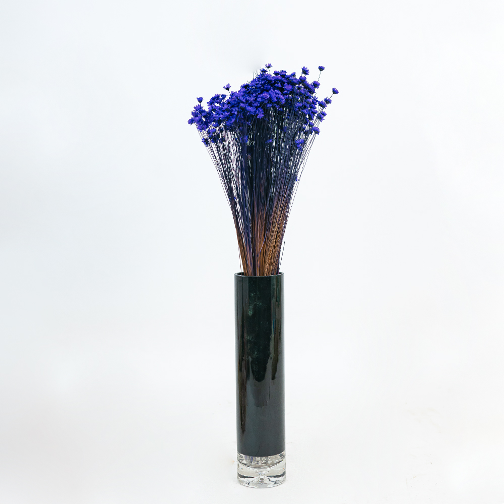 Glixia Bunch App 50cm Purple-24841