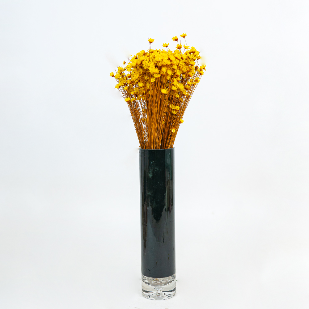 Glixia Bunch App 50cm Yellow-24846