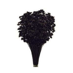 Glixia Bunch App 50cm Black-0