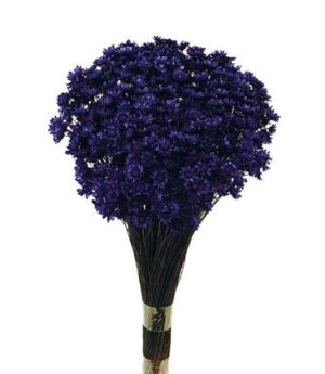 Glixia Bunch App 50cm Purple-0