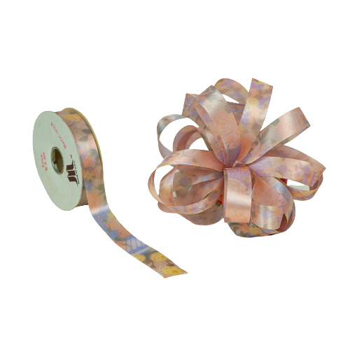 21mm x 50yds Vintage Summer Ribbon Shade 2-0