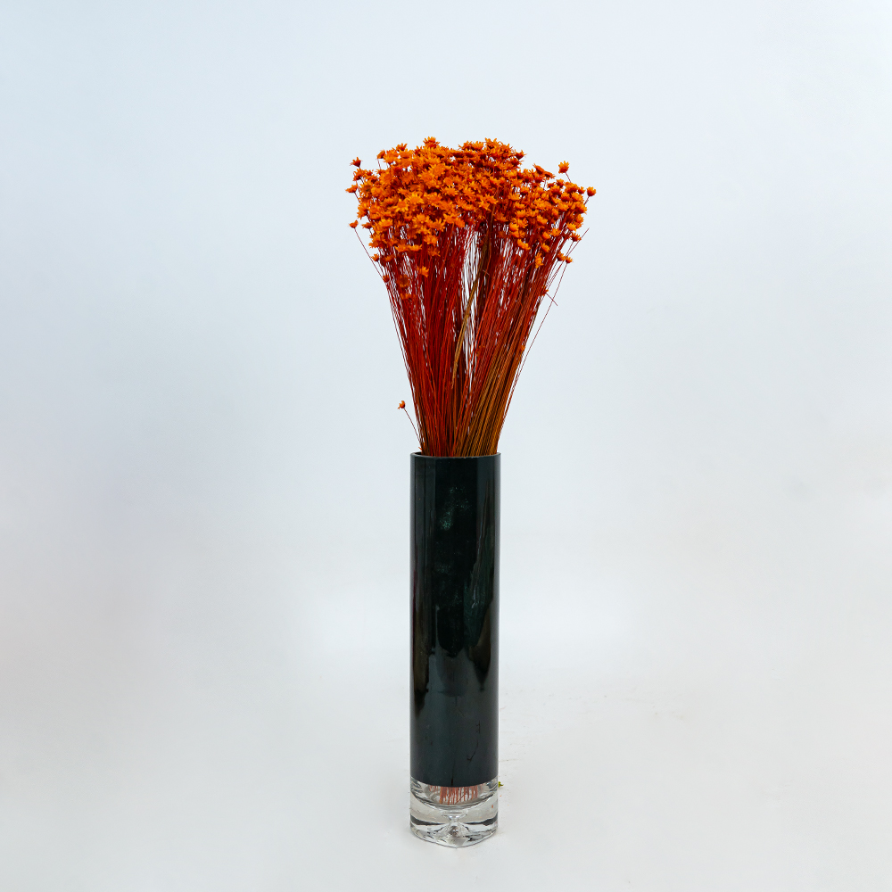 Glixia Bunch App 50cm Orange-24850