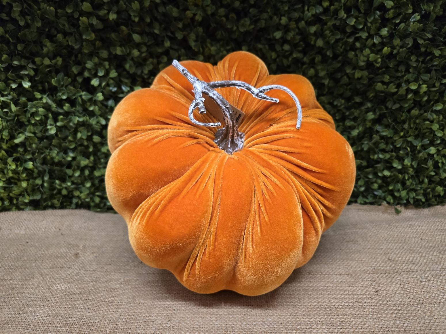 28cm Velvet Pumpkin