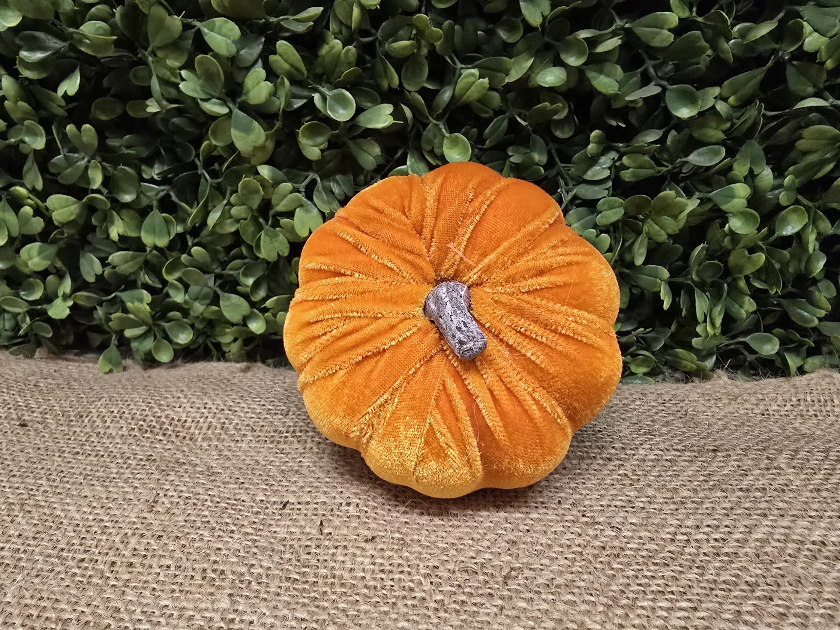 8cm Velvet Pumpkin