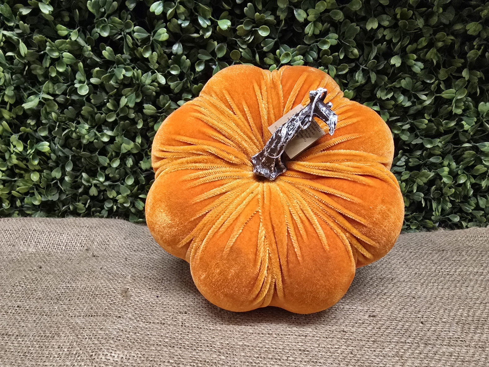 18cm Velvet Pumpkin