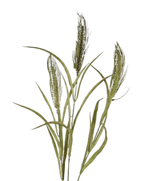 Artificial Wheat Spray - Green (78cm long, 3 heads)-0
