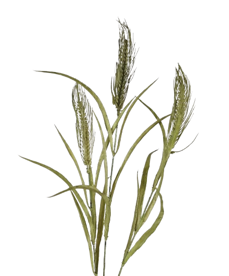 Artificial Wheat Spray - Green (78cm long, 3 heads)-0
