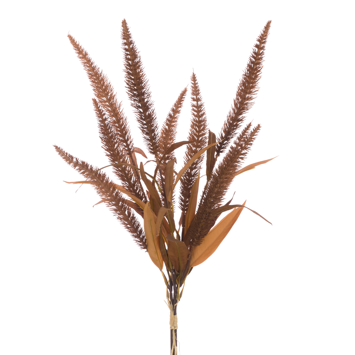 Seagrass Bunch 71cm Brown-0