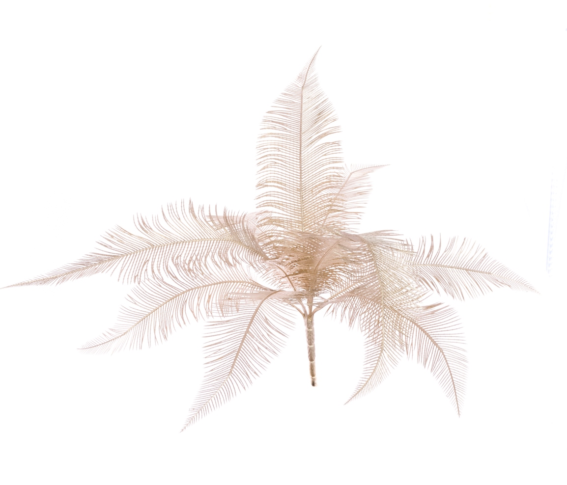 Metallic Fine Fern Bush 47cm Champagne-0