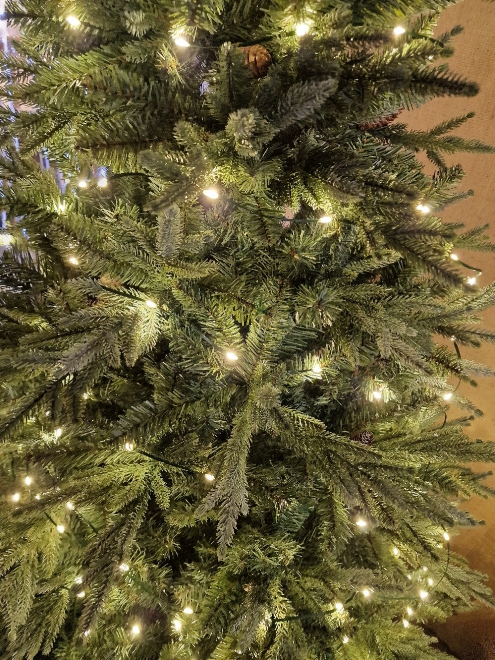 200 MLED String Light W/Timer-25700