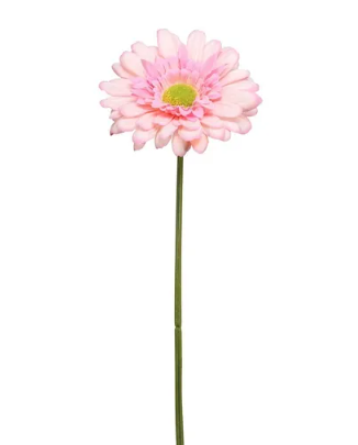 Single Gerbera 72cm Pink-0