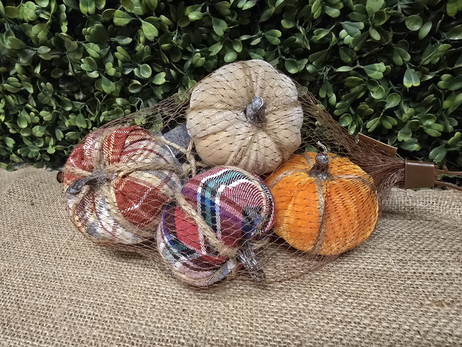 8cm Assorted Fabric Pumpkin x 5 in Bag