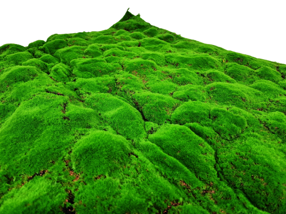 Artificial Moss Tile - Green (100cm x 100cm)