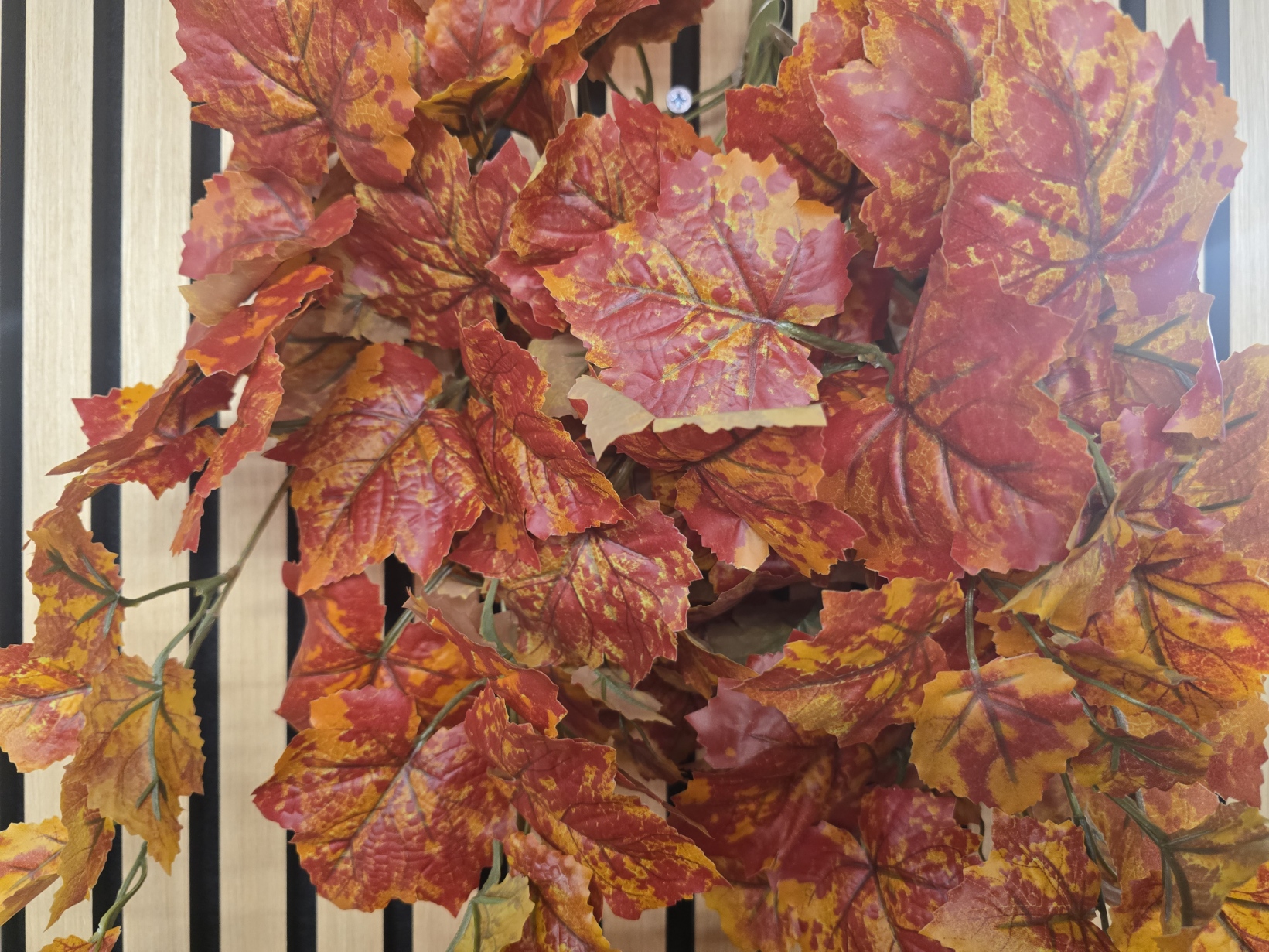 Grape Ivy Bush – Orange (82cm long with 146 leaves)