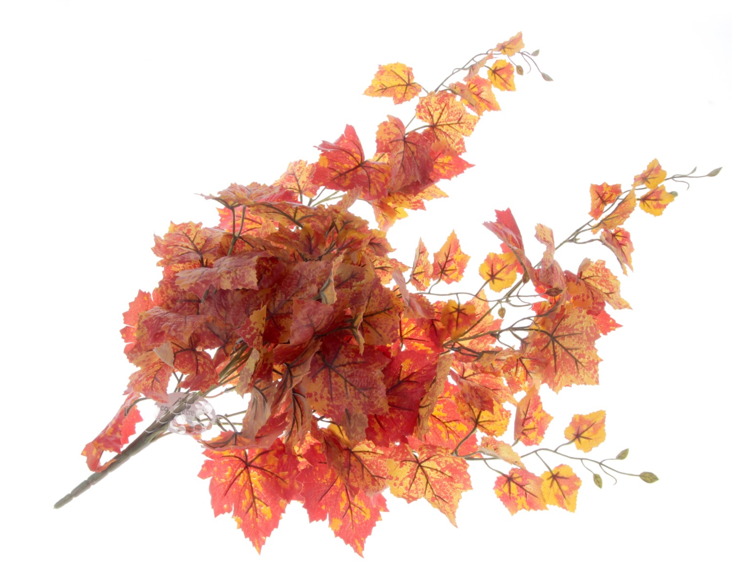 Grape Ivy Bush - Orange (82cm long with 146 leaves)-0
