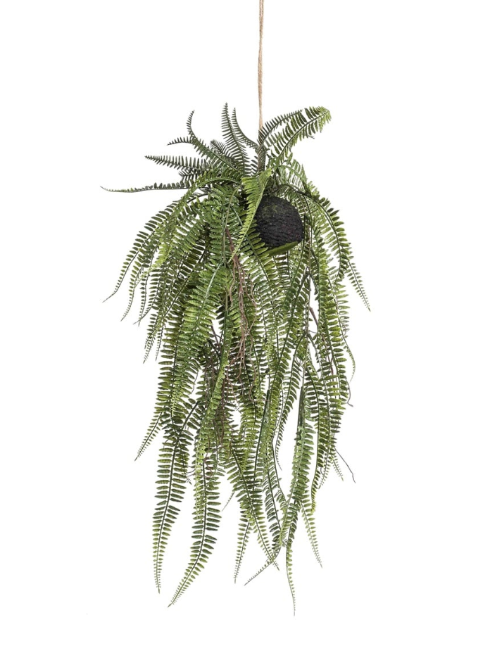 Fern Bush Hanging On Ball 70cm-0