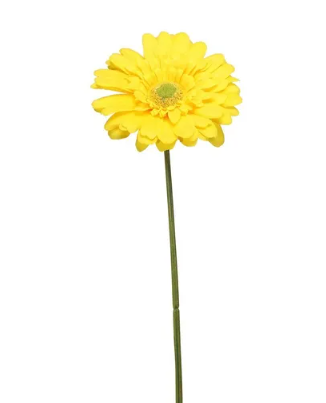 Single Gerbera 72cm Yellow-0