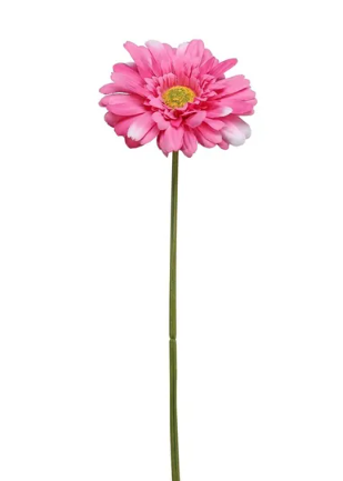 Single Gerbera 72cm Beauty-0