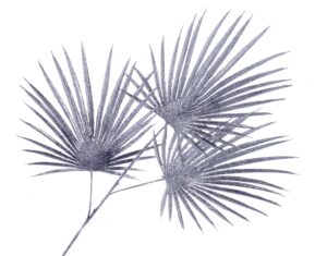 Glittered Fan Palm Leaves - Black/Silver (3 leaves, 74cm long)-0