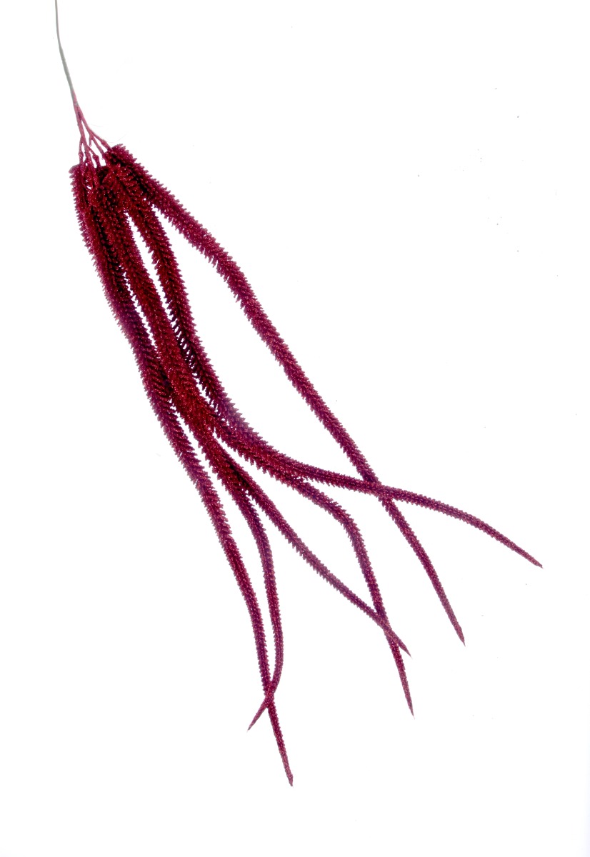 Artificial Glittered Amaranthus - Red (82cm long)-0