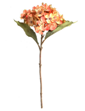 46cm Dried Image Hydrangea Orange-0