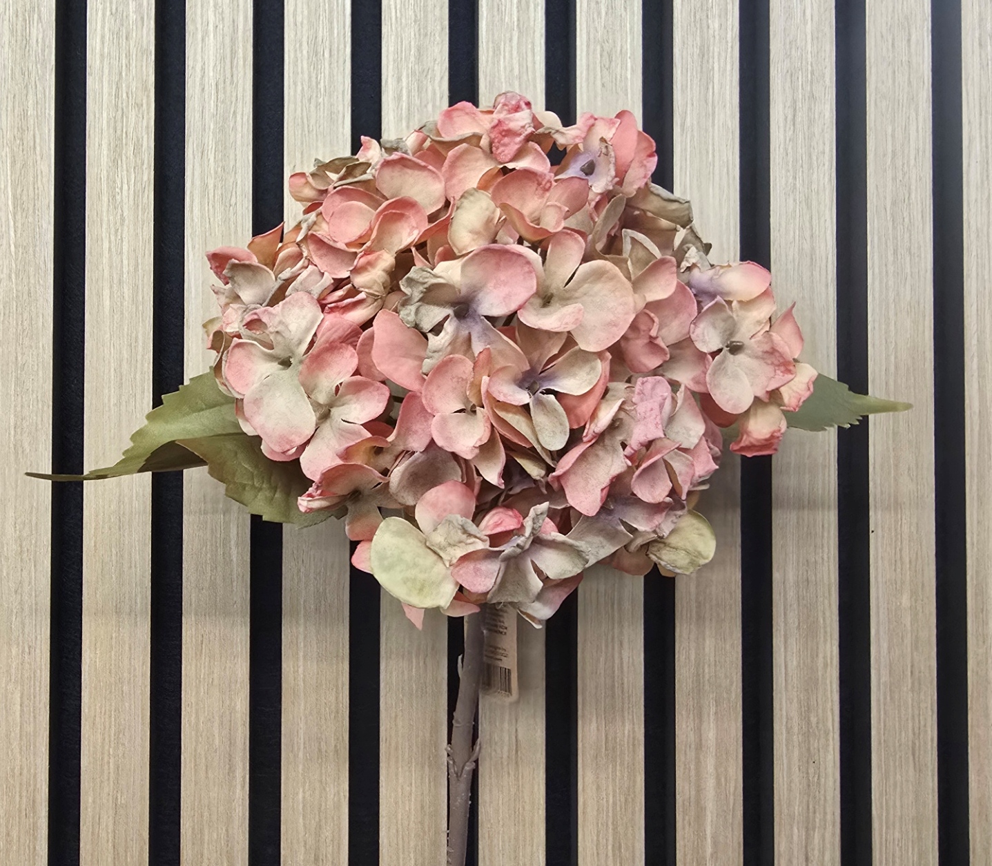 46cm Dried Image Hydrangea Orange