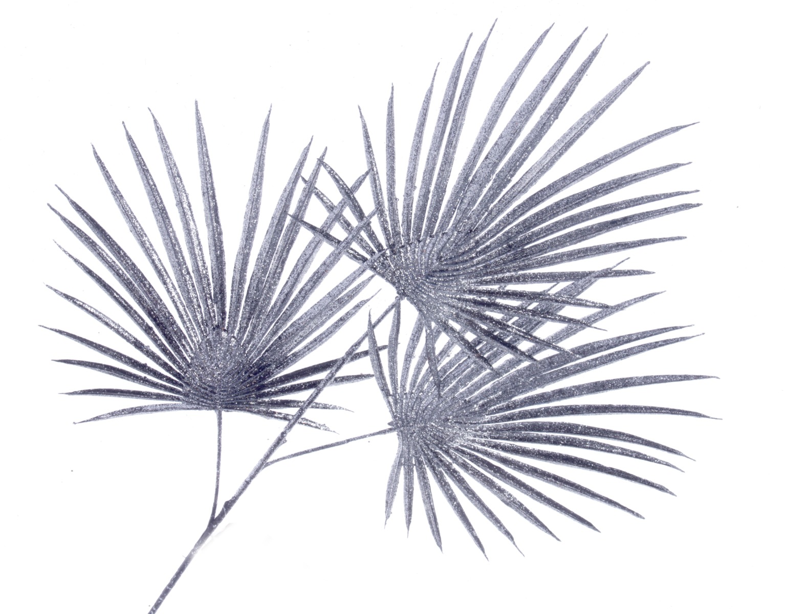 Glittered Fan Palm Leaves - Black/Silver (3 leaves, 74cm long)-0
