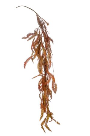 Fern Hanging Vine Orange 125cm-0
