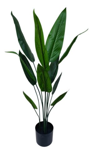 90cm Bird of Paradise Plant Black Plastic Planter-0