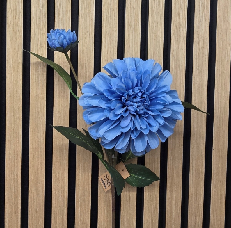 64cm Ball Dahlia With Bud Blue