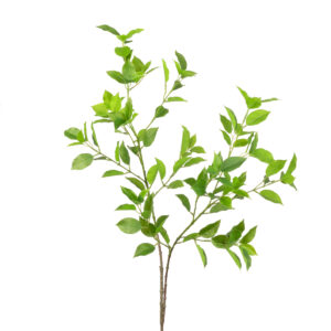 Mini Ficus Real Touch Green 98cm Green-0