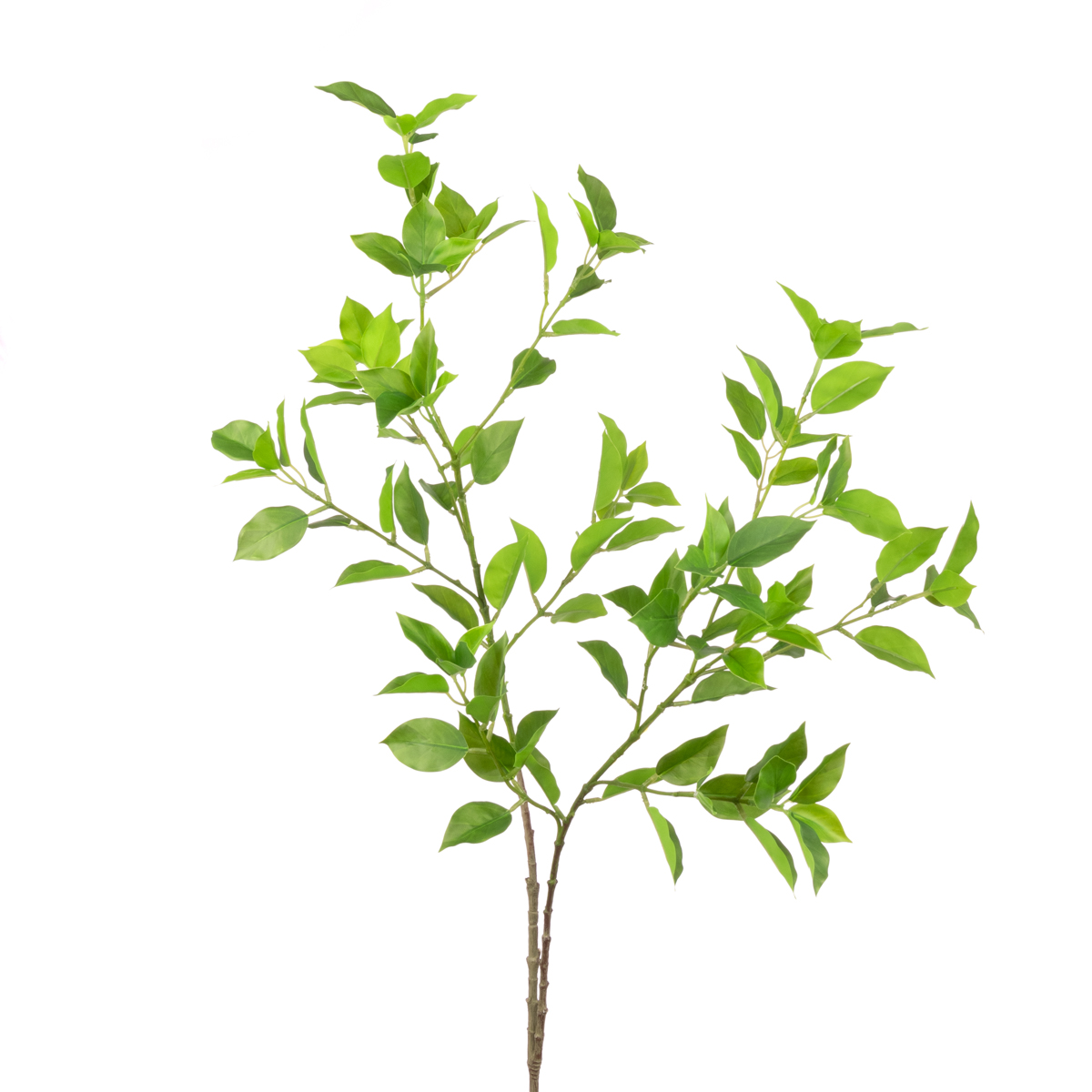 Mini Ficus Real Touch Green 98cm Green-0