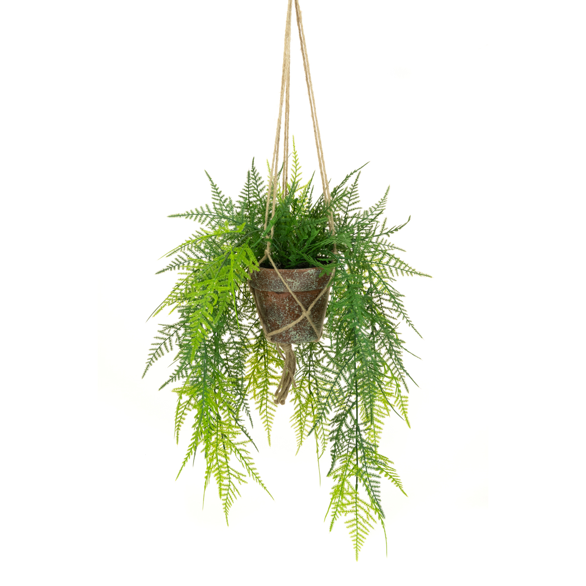 Hanging Fern in Pot - 56cm-0