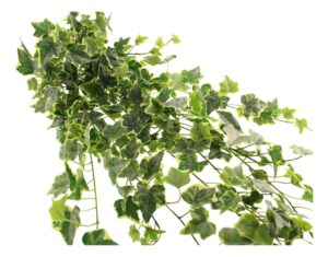 183cm Outdoor Variegated Artificial Ivy Trailing Bush WR-0
